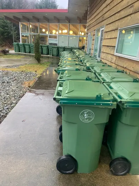Green garbage cans lined up in front of a building, illustrating an organized approach to waste disposal.