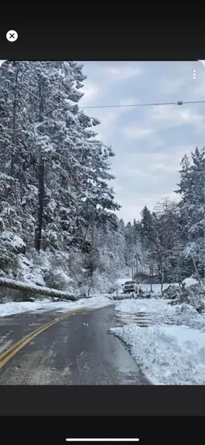 A winter scene showcasing a snowy road surrounded by trees, with a road sign visible amidst the tranquil snowfall.